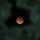 Ilustración para el artículo titulado El último eclipse lunar total (la luna de sangre), en imágenes